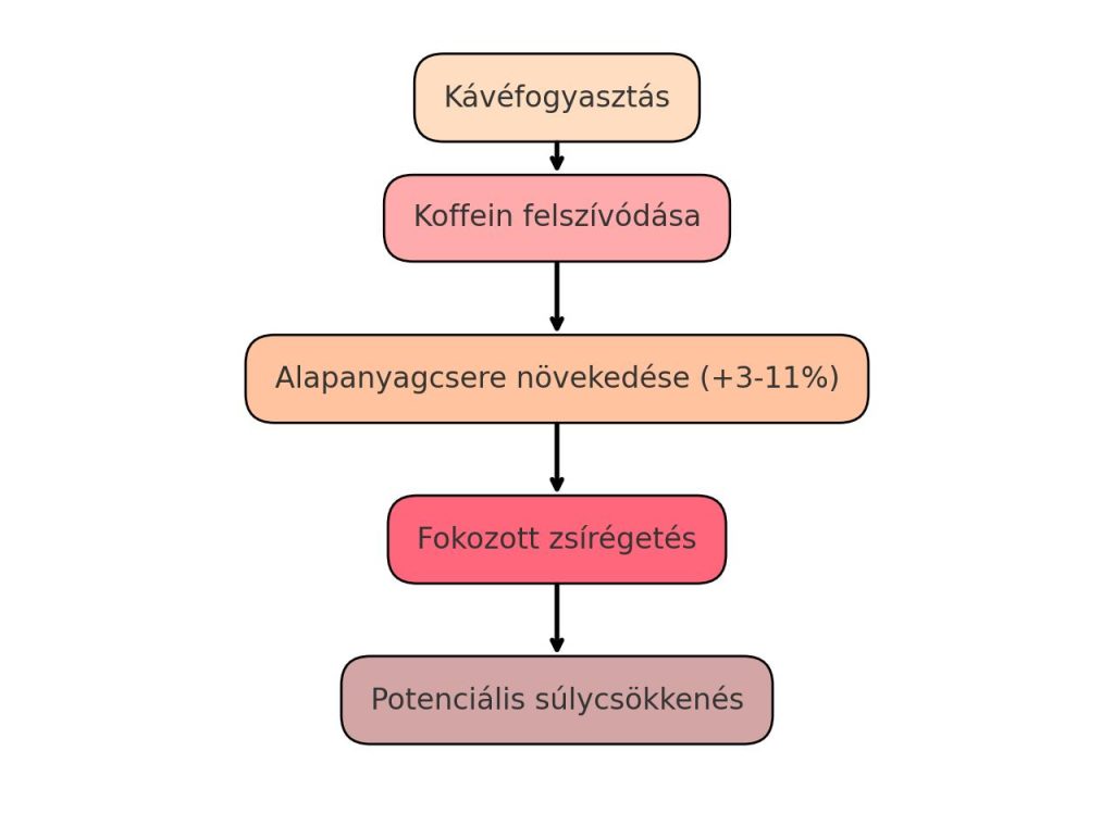 kavé fogyasztás flowchart