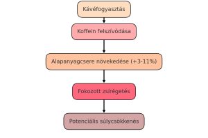 kavé fogyasztás flowchart