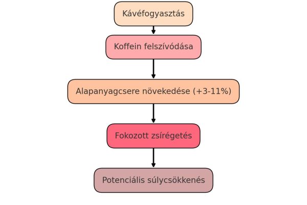 kavé fogyasztás flowchart